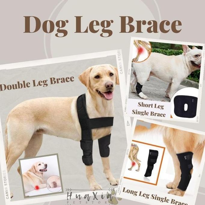Dog Leg Brace  Recovery Bandage Perban Pemulihan Kaki Anjing PET Medical Equipment Peralatan Medis