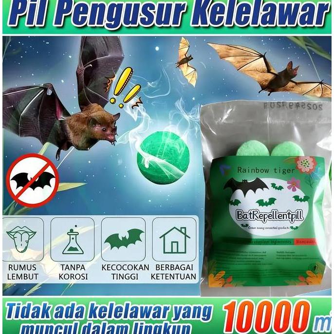 EVANSANJAYA78 - USIR SEMUA KELELAWAR DENGAN MUDAH. PENGUSIR KELELAWAR, PENANGKAL KELELAWAR, OBAT KEL