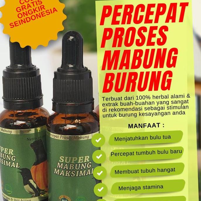 obat gagal mabung super mabung maksimal percepat proses mabung burung