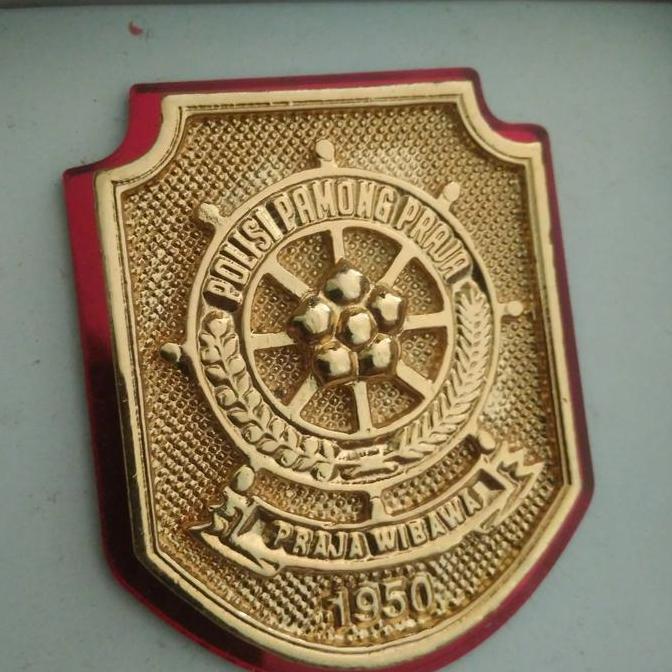 kewenangan pol pp