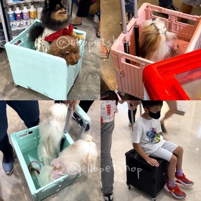 Box troli 65L / Troli anjing besar 65 / troli lipat barang /pet troli