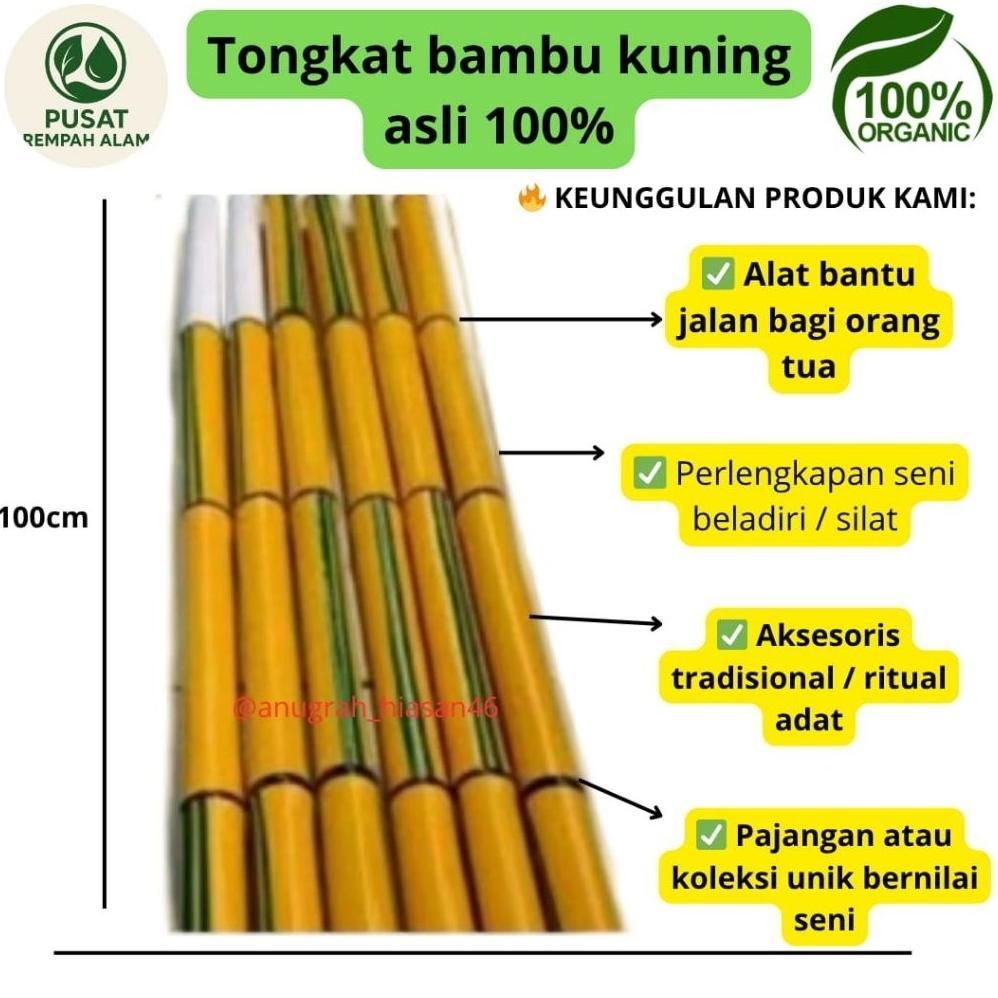 tongkat bambu kuning 1meter 100%asli alami Termurah