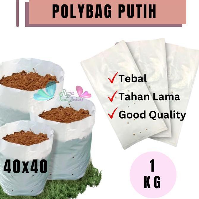 RAJA INDO GROSIR 1KG POLYBAG 40x40 PUTIH Tebal Polibek Polibag Tanaman 40 cm