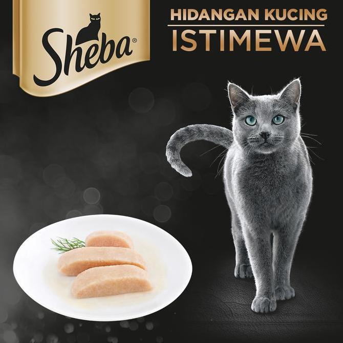 SHEBA POUCH BELI LANGSUNG 1 DUS | Sheba Pouch isi 24 Wet Food