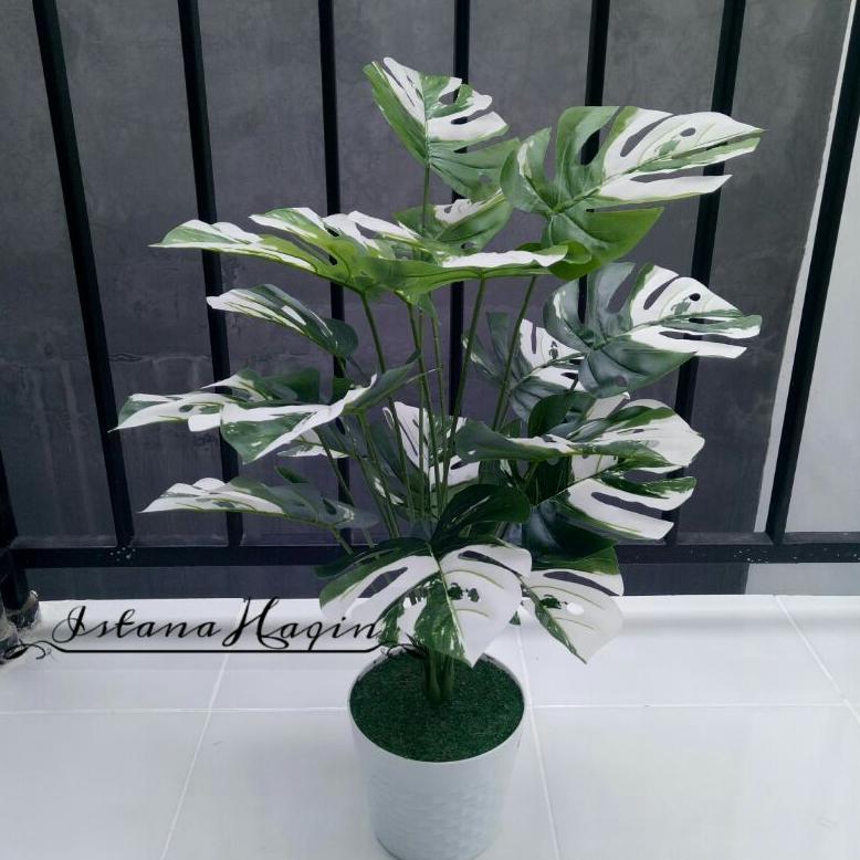 Monstera Artificial Monstera Hijau Monstera Varigata Plus Pot