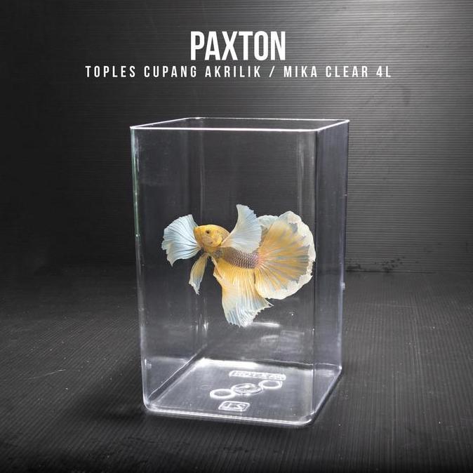 Toples Cupang 4 Liter Paxton / Toples Akrilik Mika 4L