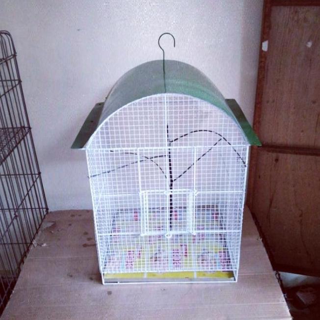 NEW KANDANG BURUNG BESI GANTUNG KAWAT RAM BUAT BURUNG PARKIT LOVE BIRD DLL ORI