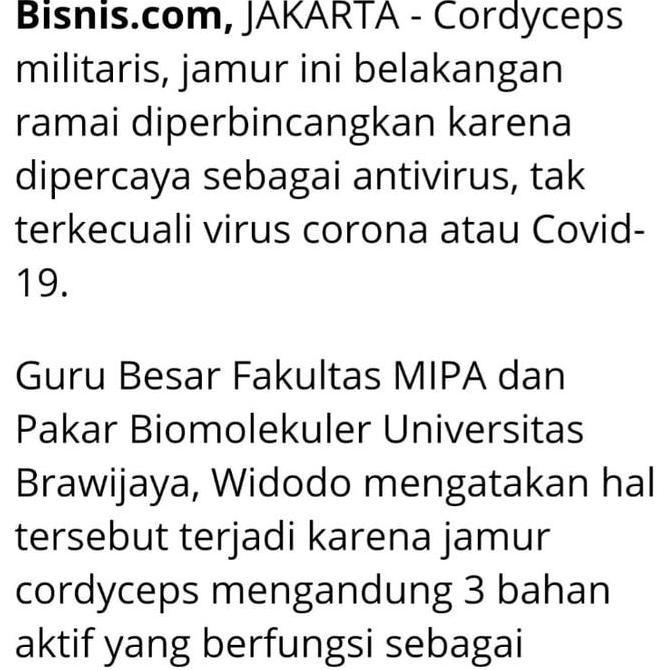 Cordyceps Capsule Wootekh
