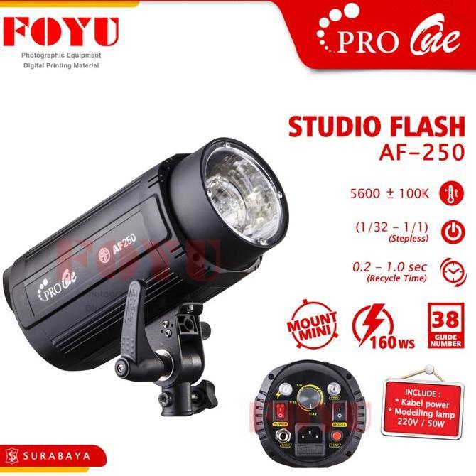 ferdyshp991 - Studio Flash Blitz Light Lampu Kilat Photo Mini Pro One AF-250 Studio Flash Blitz Ligh