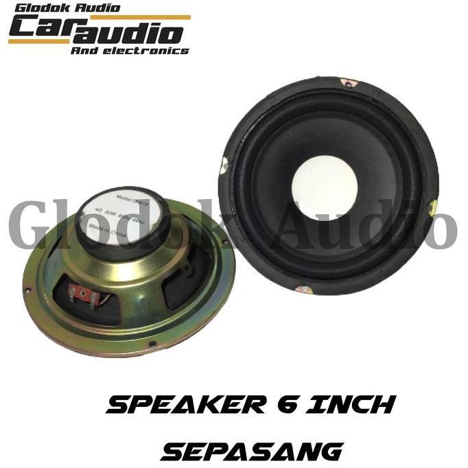 Speaker 6 inch 4 ohm 30 Watts