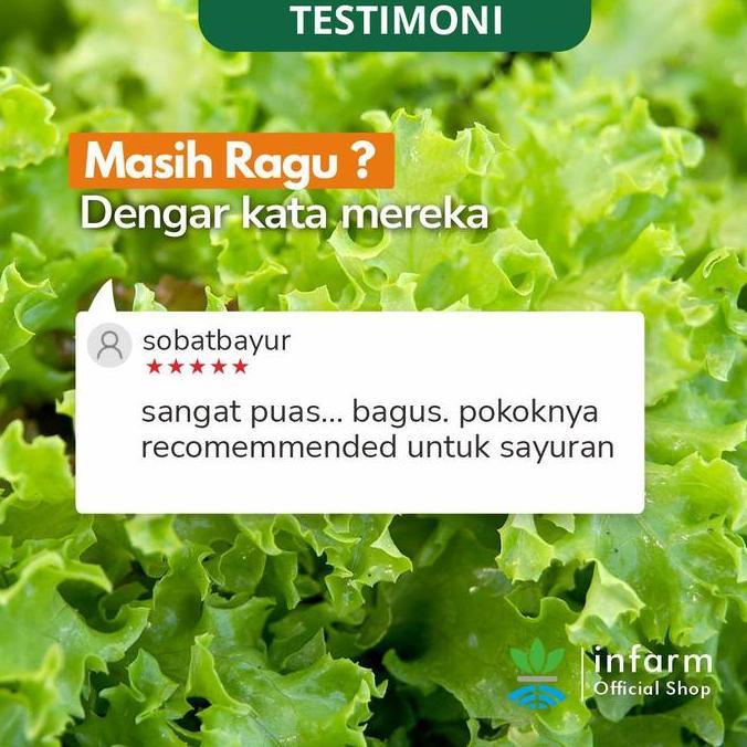 INFARM - AB Mix Sayuran Daun 1000L Nutrisi Hidroponik Premium , Selada & Sawi Cepat Panen (TERBAIK) 