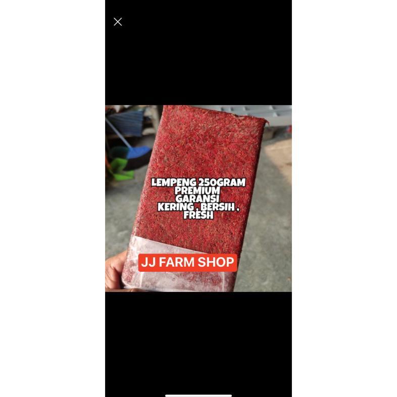 cacing beku LEMPENG 1Kg & 500gram segar merah tanpa air & tidak bau