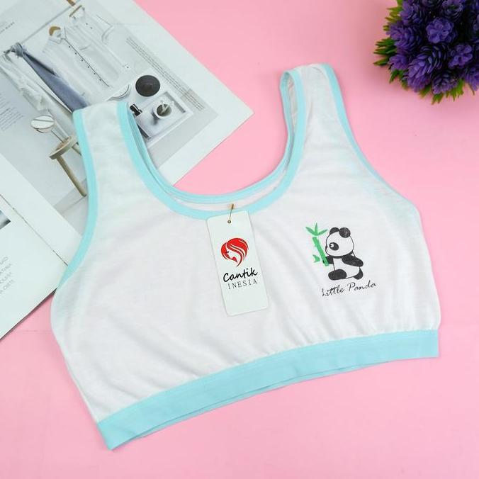 eko_satioko - mina isi 3 isi 6 miniset bra kemben tanpa busa anak sd smp remaja abg motif panda lucu