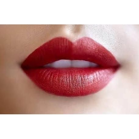 HENNA BIBIR TAHAN LAMA / HENNA LIPS