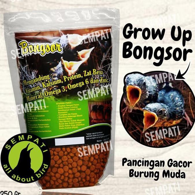 SEMPATI PAKAN LOLOHAN BONGSOR PAKAN LOLOHAN TROTOL MURAI BATU VOER LOLOH PIYIK BURUNG CINDIL MAKANAN