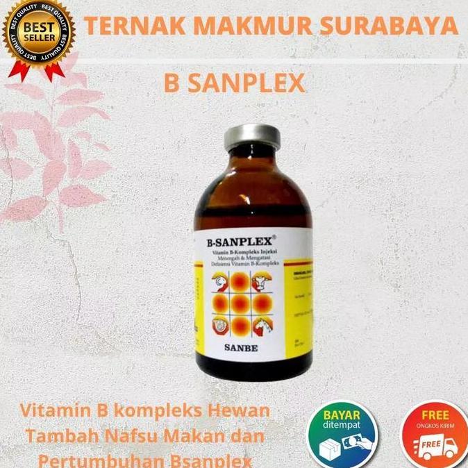 B SANPLEX 100ML