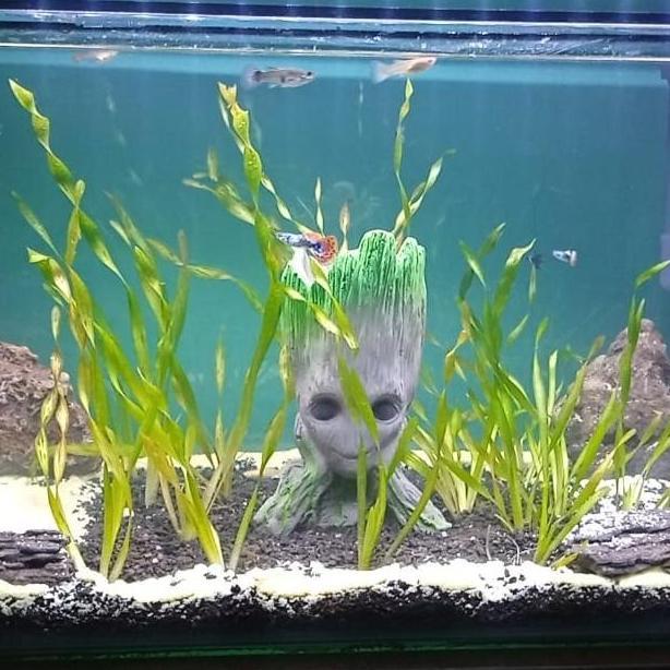 HIASAN Baby GROOT RESIN AQUARIUM