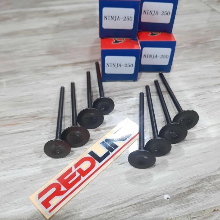 KLEP KELEP KAWASKI NINJA 250 DOBEL PISTON RIKO PART REDLINE SPAREPART