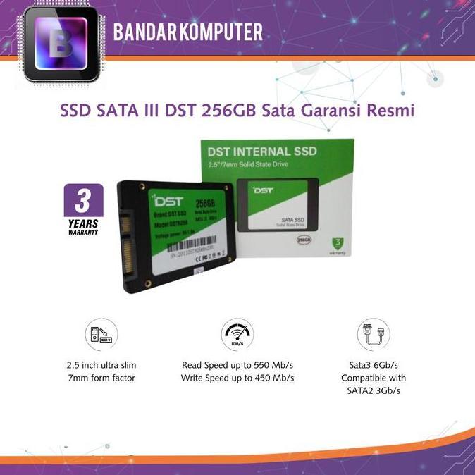 TERBARU - SSD SATA III DST 256GB Sata Garansi Resmi