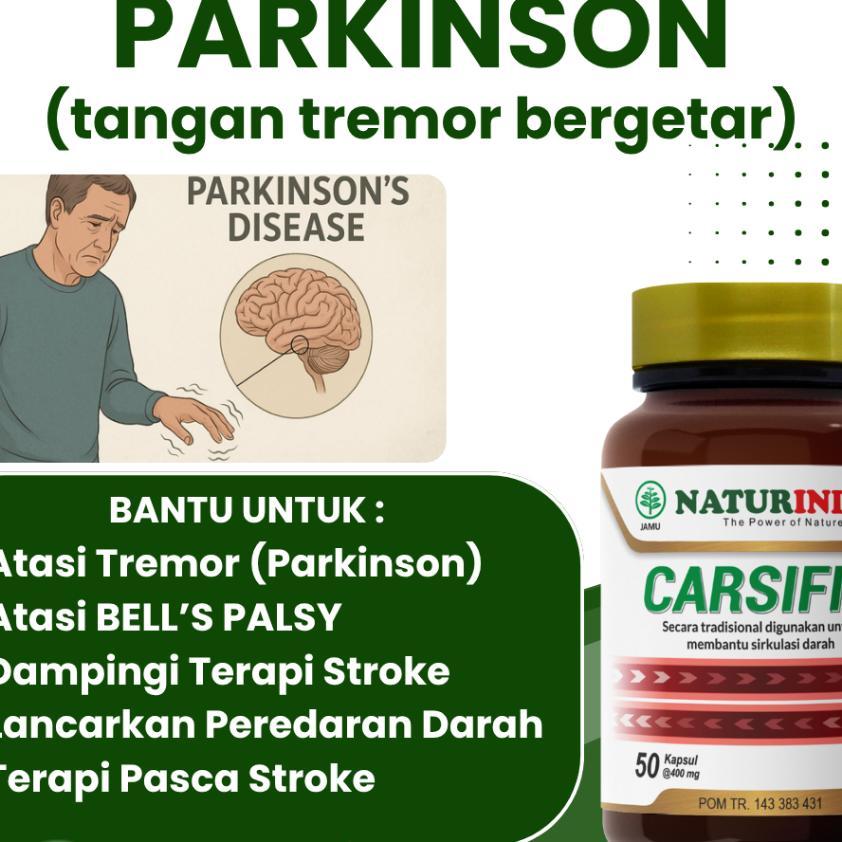 Herbal Parkinson Tremor Stroke Ringan Terapi Pasca Stroke Bells Palsy Stroke Lumpuh Menahun