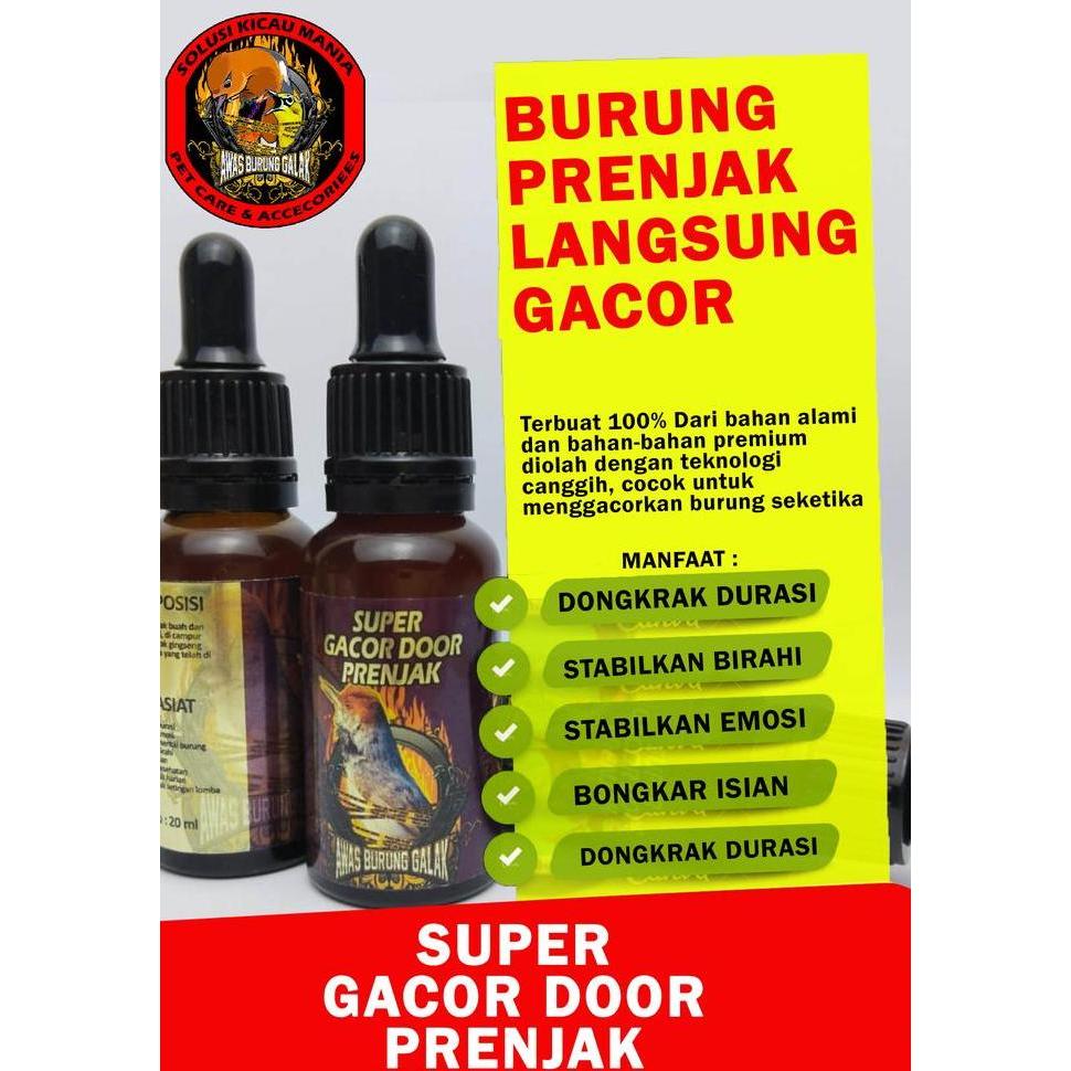 SUPER GACOR DOOR PRENJAK PENGGACOR SEKETIKA