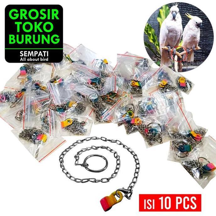 SEMPATI GROSIR Rantai Borgol Burung Nuri Falk Parkit Parrot Hantu Isi 10 Pcs Rantai Kaki Burung Lati
