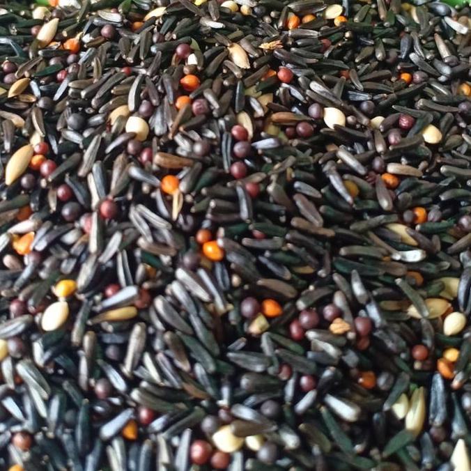 MAKANAN BURUNG RED SISKIN PAKAN SISKIN 250GR