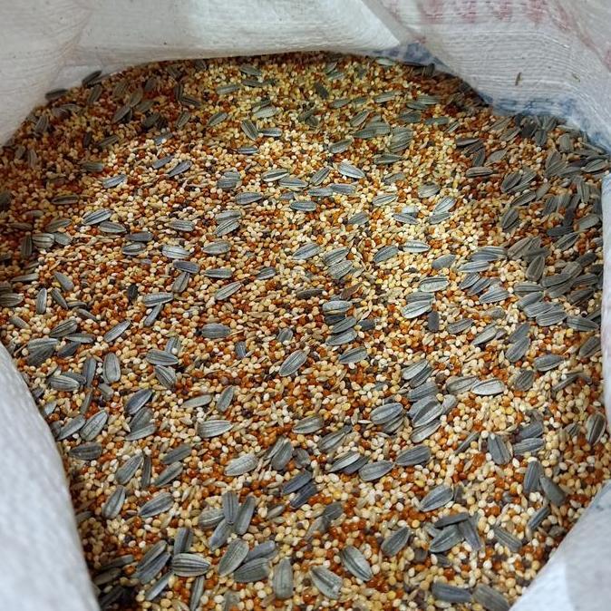 '' MILET CAMPUR KOMPLIT PLUS KUACI 25KG - PAKAN LOVEBIRD CAMPUR KARUNGAN *