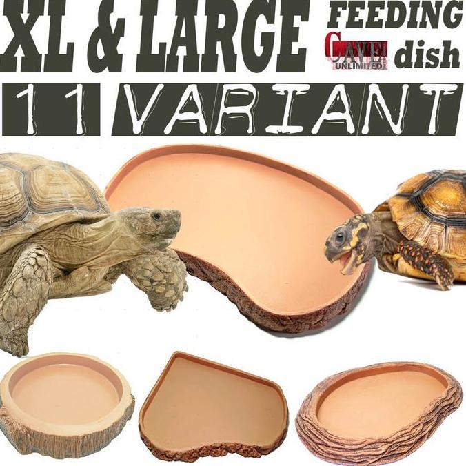 Promo Tempat Makan Minum Feeding Dish Feedingdish Besar Xl Tortoise Reptile Kura Sulcata Sulkata Ald