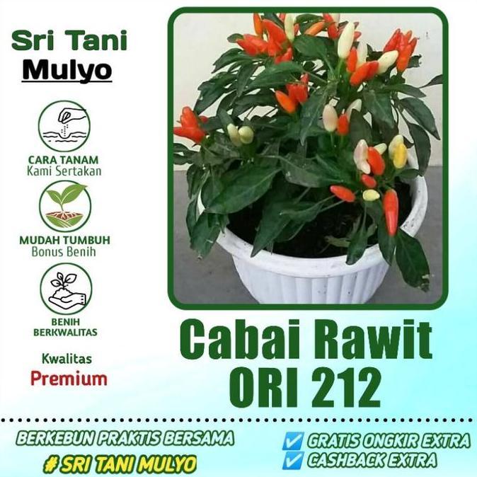 35 Benih Biji Bibit - Cabe Rawit Setan Ori 212 F1 - Repack Allshop