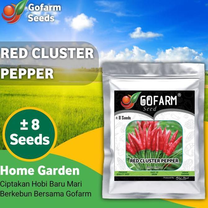 - Benih Cabai Red Cluster Pepper Berkualitas Allshop