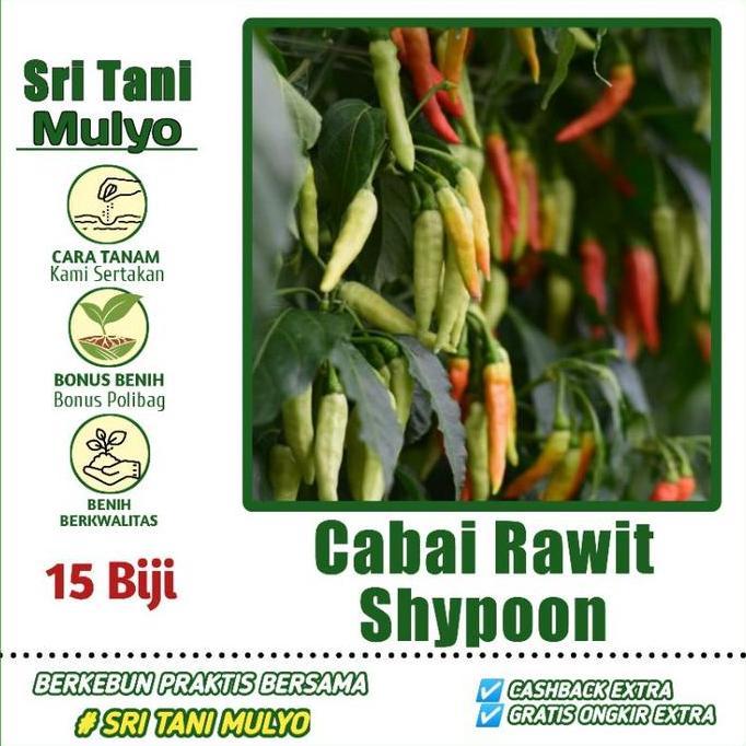 Cabai Rawit Berangkai 15 Biji - Benih Cabai Shypoon Cabai Gerombol Cabai Rawit Unggul Bibit Sayuran 