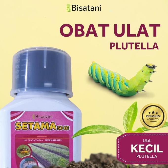 BARU SETAMA OBAT HAMA ULAT PLUTELLA KECIL LEMBUT PADA TANAMAN BUAH & SAYUR