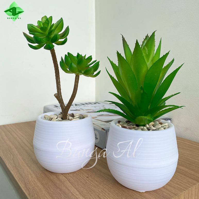 best deals rangkaian kaktus sukulen mini pot bulat tanaman artificial hiasan meja rumah kantor cafe 