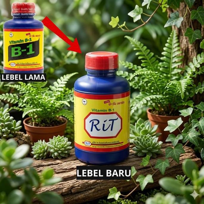 Pilihan- Pupuk Vitamin B1 100Ml T-Rex - Pupuk Tanaman B1 Anti Stres Ori Thailand