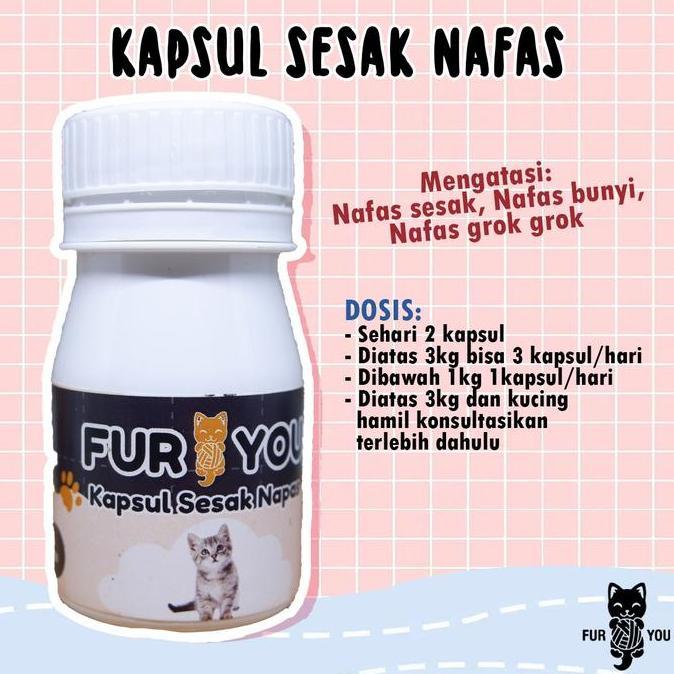 Kapsul Kucing Sesak Nafas