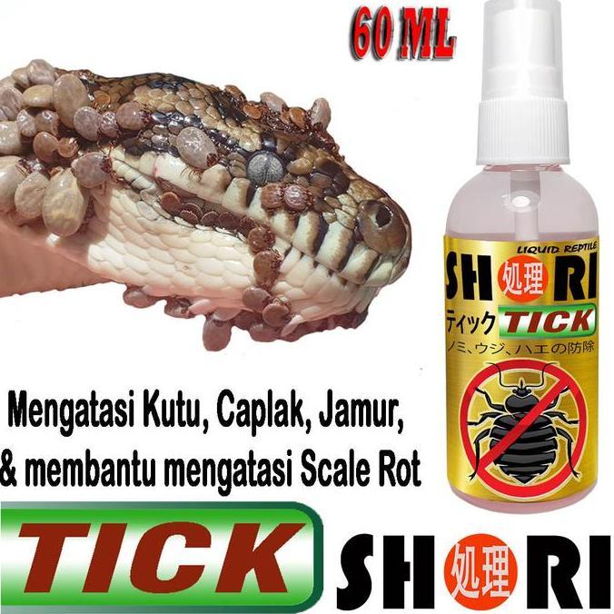 SHORI TICK OBAT ANTI KUTU JAMUR CAPLAK PARASITE REPTILE SCALE ROT ULAR IGUANA BIAWAK VARANUS REPTIL 