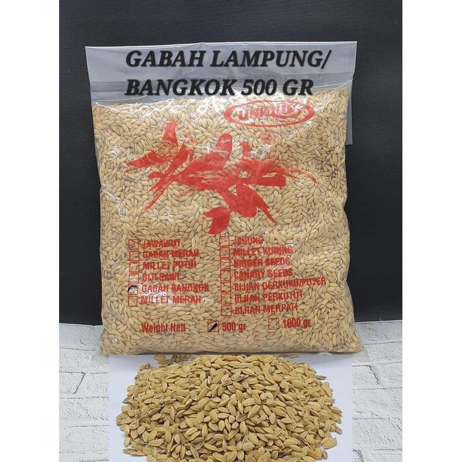 Gabah Bangkok 500 Gr Gabah Mini Untuk Ayam, Perkutut, Derkuku, Lovebird & Unggas Lainnya