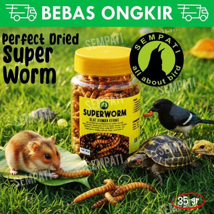 Sempati Superworm Super Worm Botol Toples Ulat Jerman Kering Pakan Extra Fooding Ef Burung Murai Kac