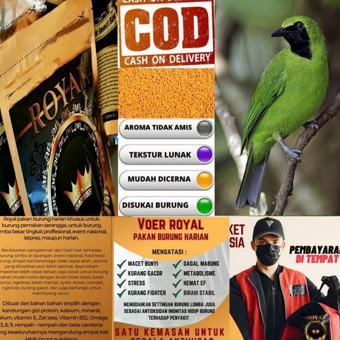 Pur Pakan Voer Burung Cucak Ijo 300 Gr Royal
