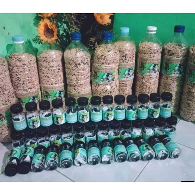 Milet Burung Perkutut Warisan Leluhur Mojopahit Moh Abdulloh Milet Perkutut Pakan Perkutut Millet Pe