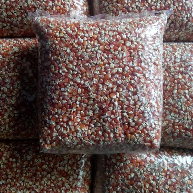 Jagung Merpati Super Cililin 1 Kg