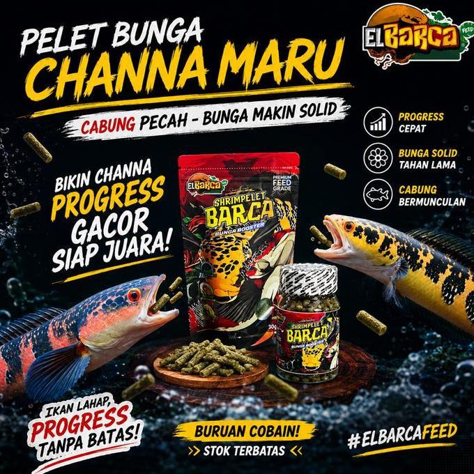 Afterday- Pelet Bunga Shrimpelet Barca Special Channa Maru Ys Red Cabung Pecah Bunga Makin Solid Xtr