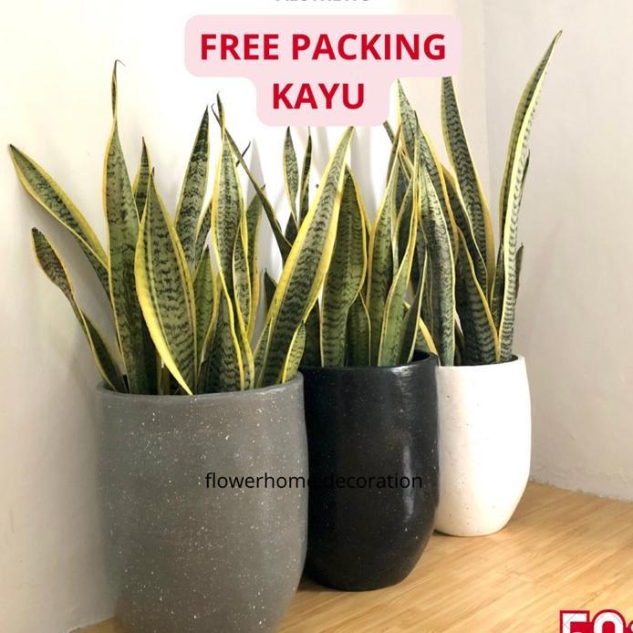 Pot Gerabah Tanah Liat Tinggi 40 Cm Hiasan Sudut Ruangan - Vas Bunga Besar Free Packing Kayu Garansi