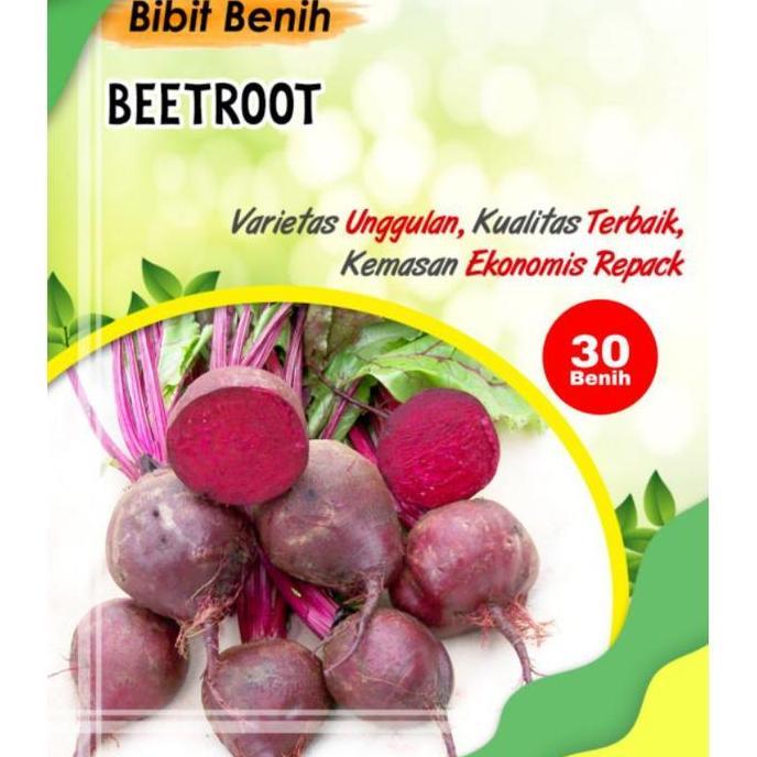30 Biji Benih Buah Bit - Benih Bibit Beetroot Merah