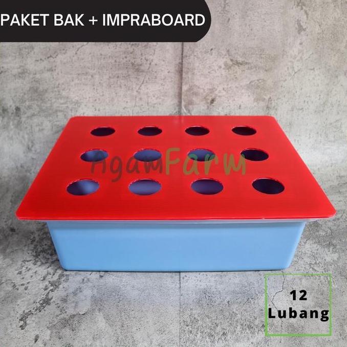 Bak Hidroponik Plus Tutup Impraboard 12 Lubang