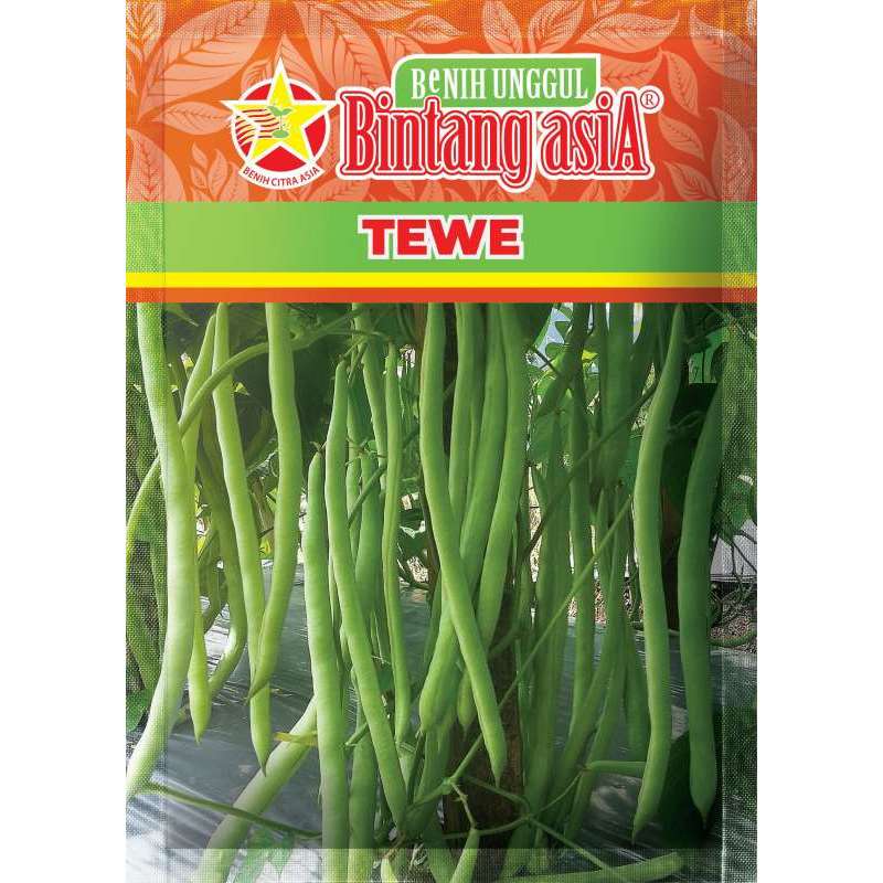TEWE 500 gram Benih Buncis Bintang Asia Benih Buncis Tewe 100% peacking pabrik