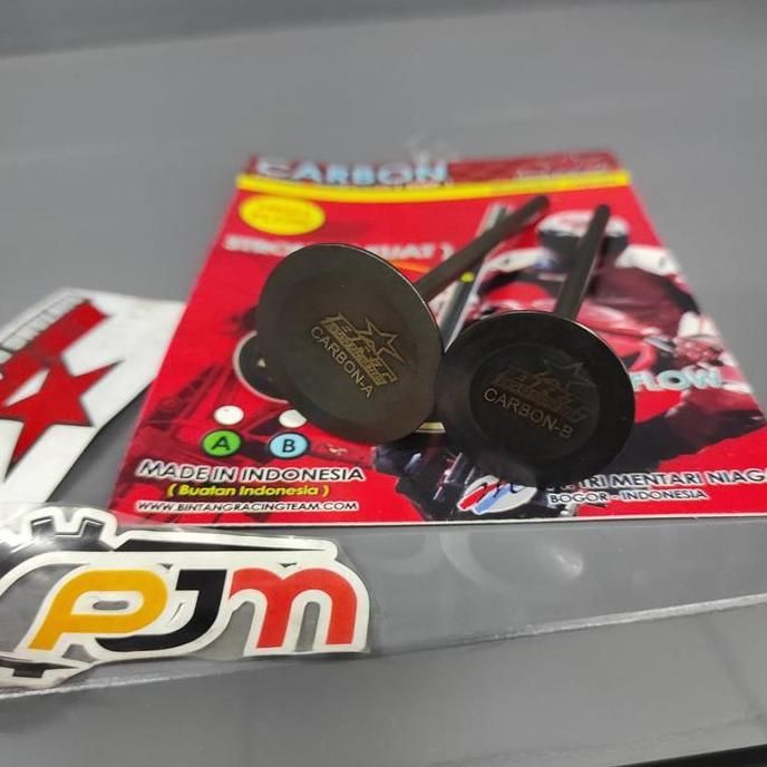 Klep Brt 34/29 Batang 5Mm Aa Carbon