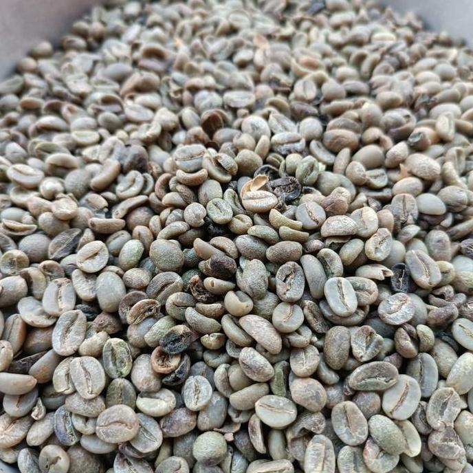 READY green beans arabika asalan
