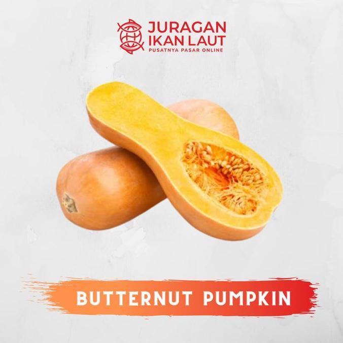 Newnature- Labu Madu Butternut Pumpkin Segar Berkualitas - 1 Buah